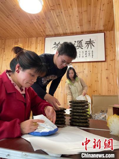 資料圖：杜贏(左二)在整理白茶餅?！×执阂?攝
